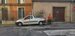 Bilan de l'opération de collecte de sapin 2025-2026