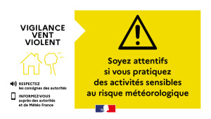 Vigilance jaune vent violent