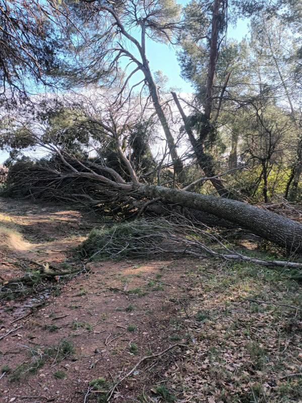Point de situation des intempéries