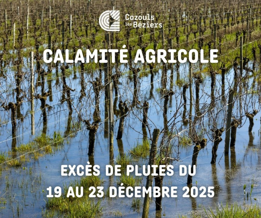 Reconnaissance de calamité agricole dans l’Hérault