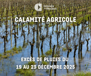Reconnaissance de calamité agricole dans l’Hérault