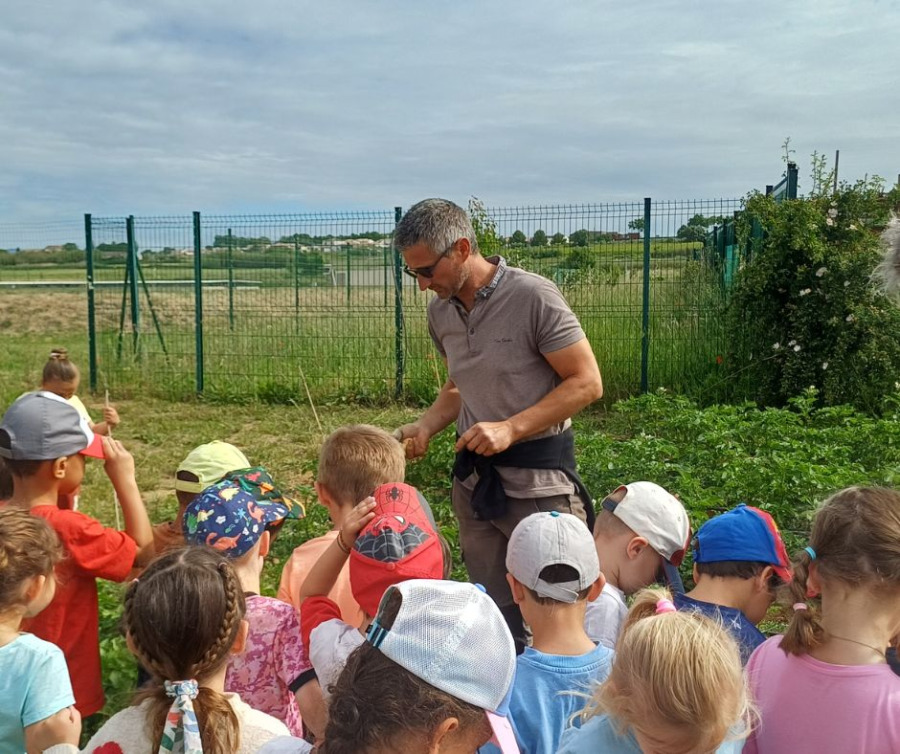 Visites pédagogiques au potager municipal : sensibiliser les plus jeunes au bien-manger