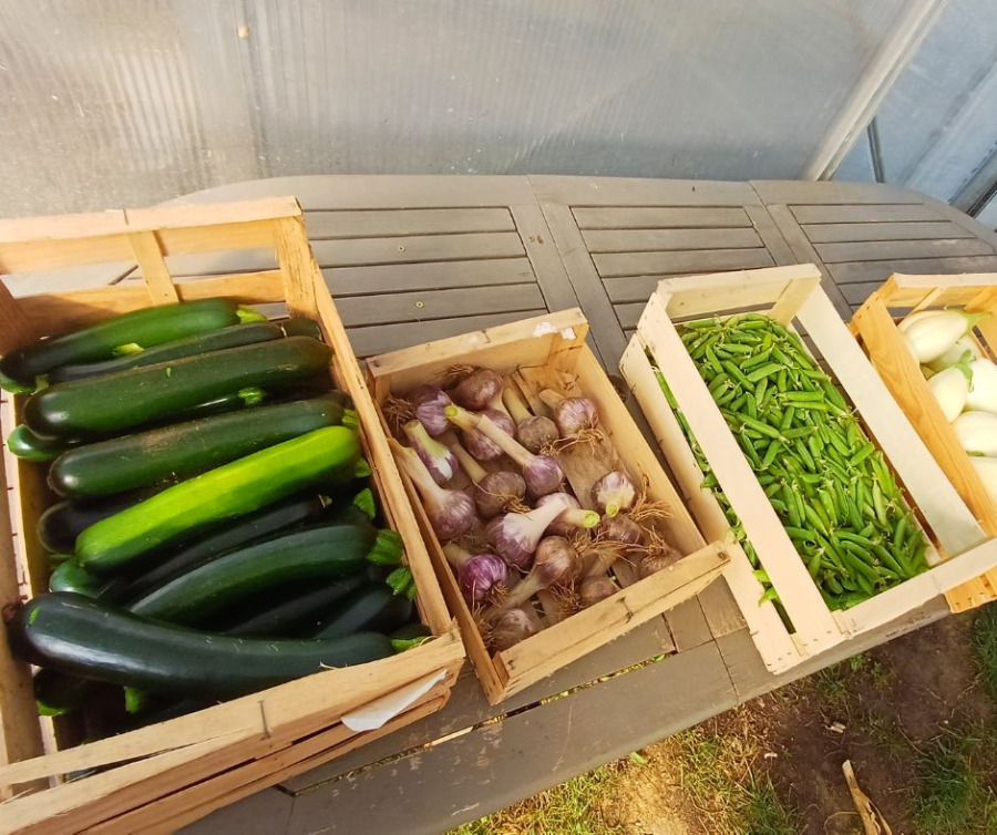 Ça tourne au potager et à la cuisine