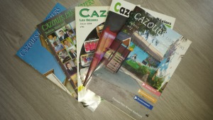 Questionnaire Bulletin Municipal