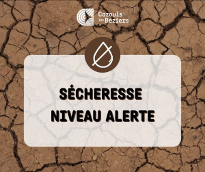 Sécheresse - niveau alerte