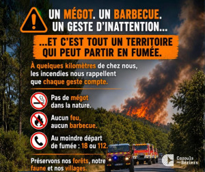 Tous responsables face aux feux de forêts