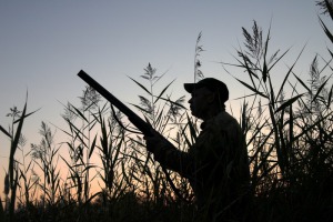 Ouverture de la Chasse