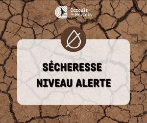 Sécheresse - niveau alerte