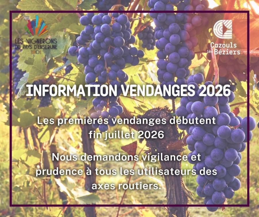 Informations vendanges