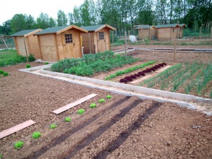 Inauguration des jardins familiaux