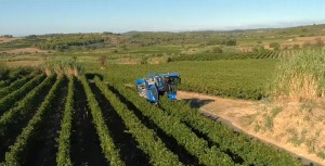 Clip Officiel de la Commune de Cazouls-Lès-Béziers