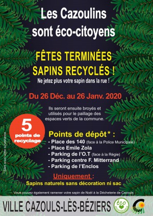 Collecte de sapins de Noël