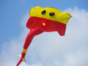 Journée Départementale d'été Hérault Sport