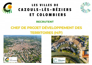 Offre d'emploi - CHEF DE PROJET DEVELOPPEMENT DES TERRITOIRES