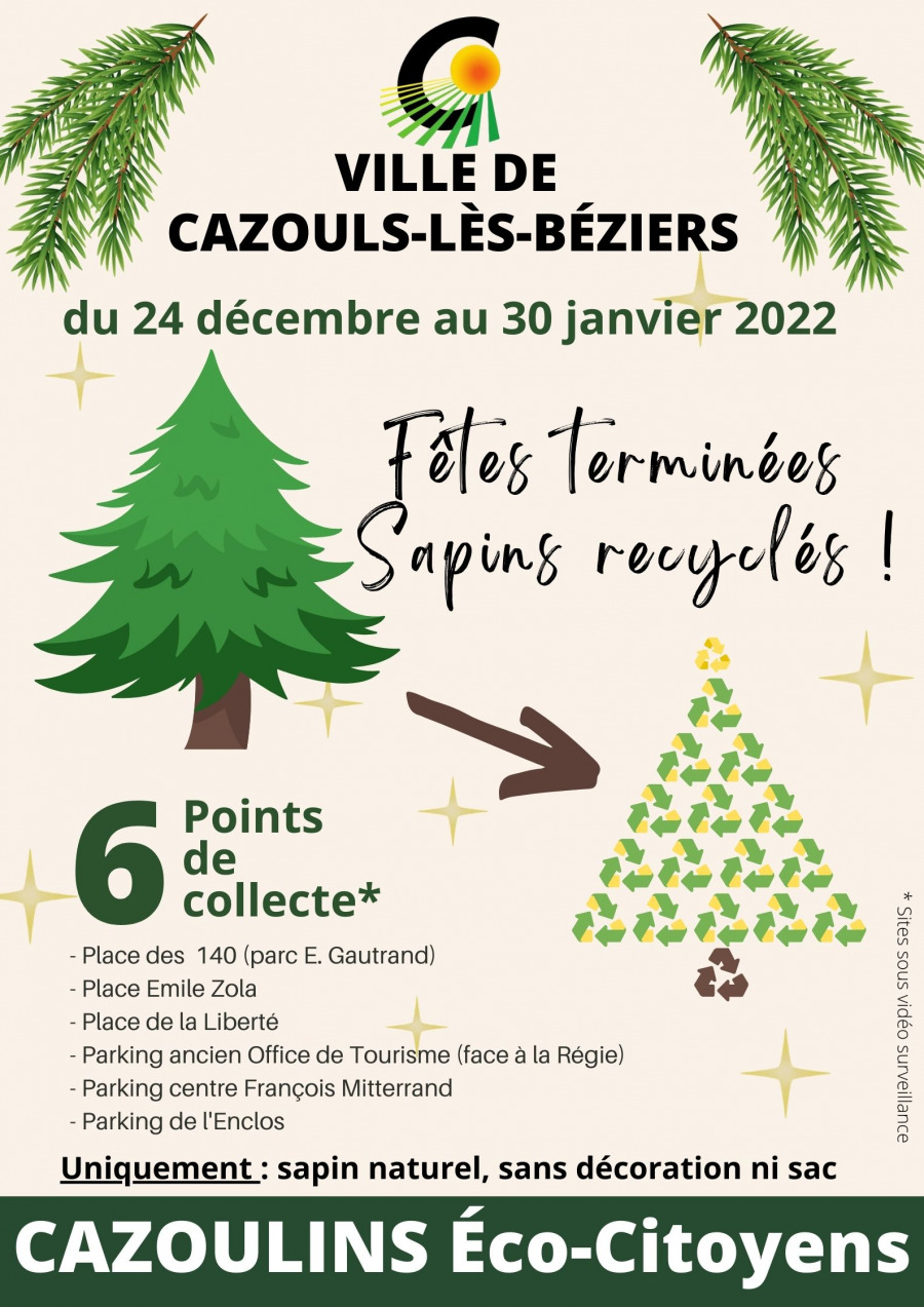 Fêtes terminées, sapins recyclés