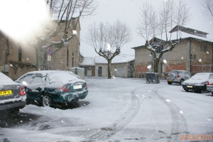 NEIGE : Communiqué de presse - suspension des transports