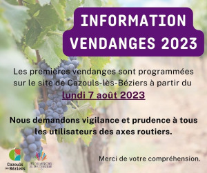 Vendanges 2023