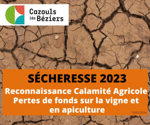 Reconnaissance calamité agricole - Pertes de fonds sur vignes et en apiculture