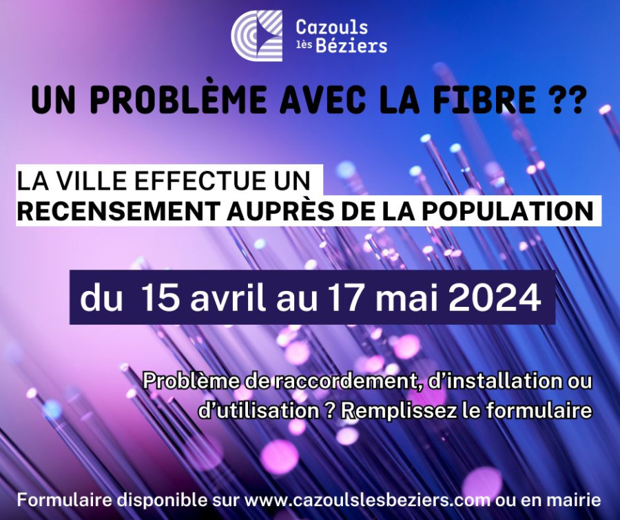 Recensement des problématiques liées à la fibre optique au sein du village