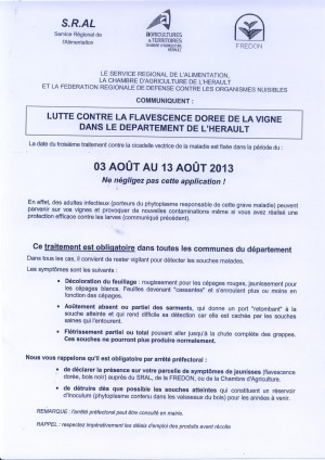 Lutte contre la flavescence dorée de la Vigne