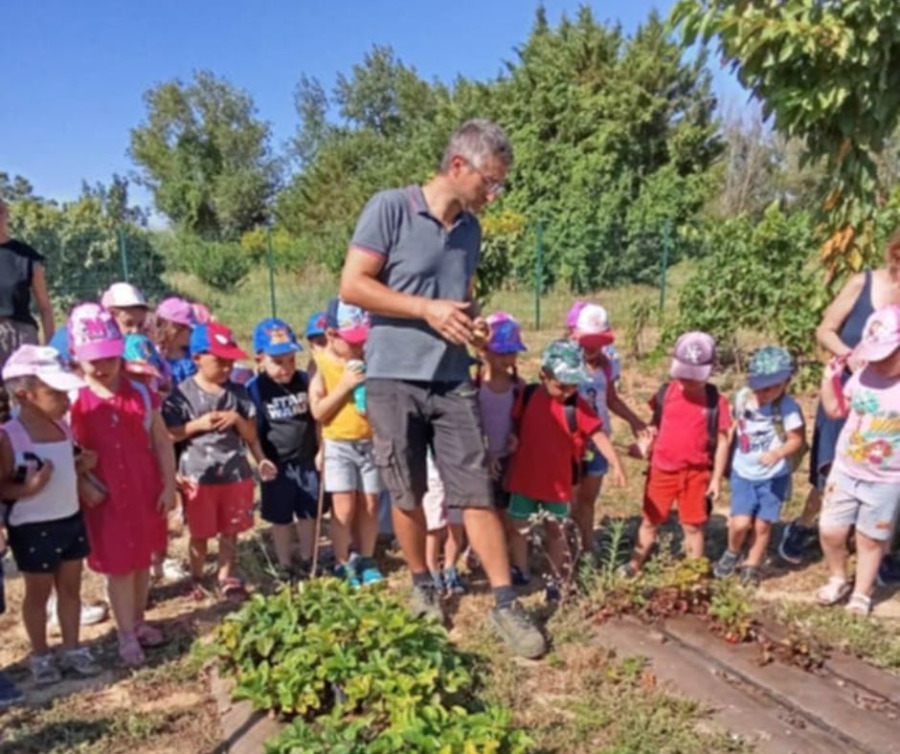 Visite pédagogique à la serre municipale