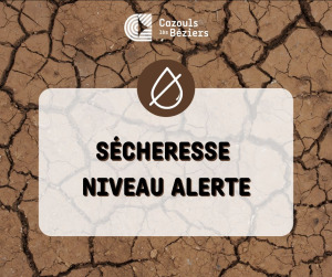 Sécheresse niveau alerte