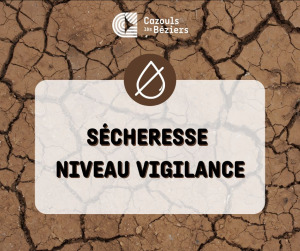 Sécheresse - Niveau Vigilance