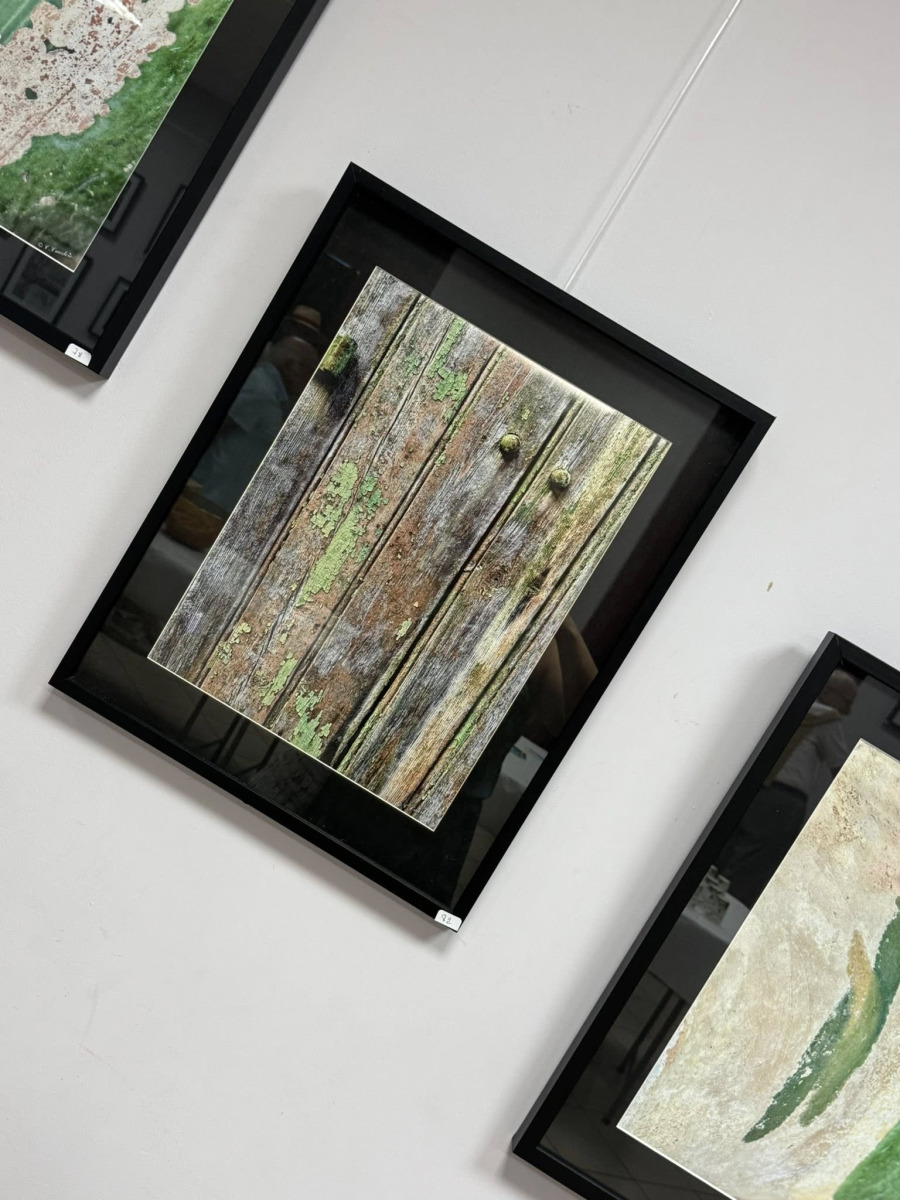 Vernissage de l’exposition « Nature » Cathy Cuartero