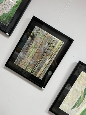Vernissage de l’exposition « Nature » Cathy Cuartero