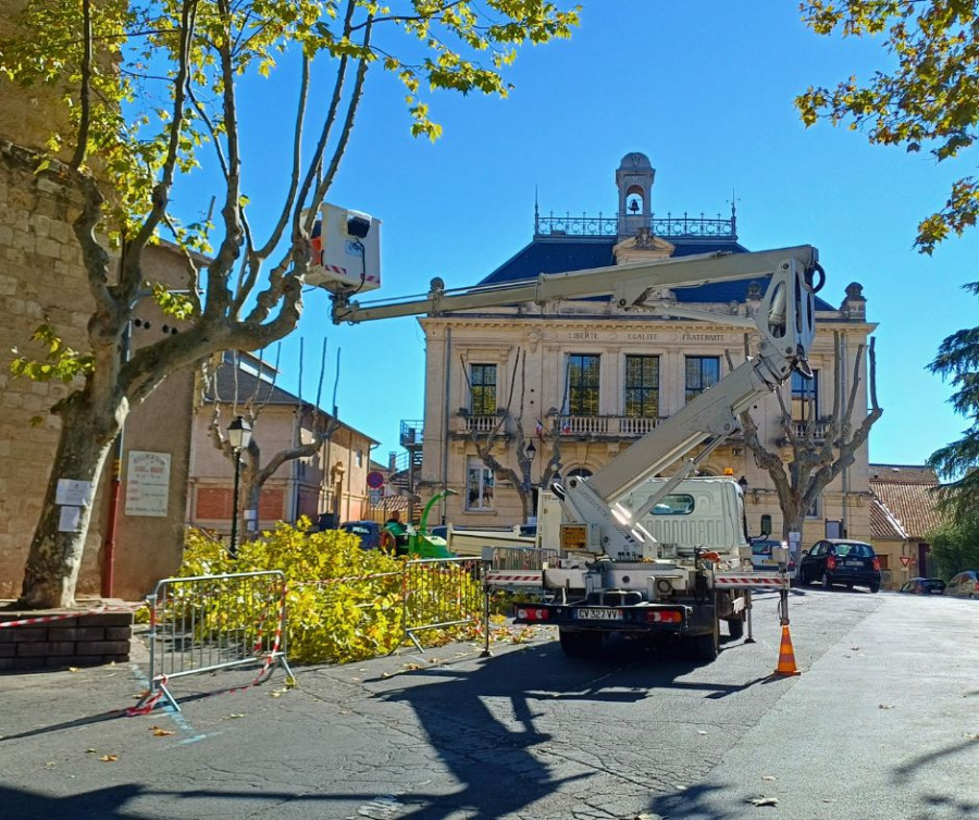 Elagage sur la Place des 140