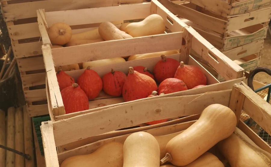 Des saveurs automnales à la cantine