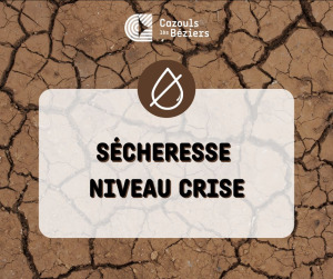 Sécheresse - crise