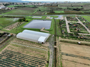 Le maraîchage communal au cœur du paysage alimentaire de La Domitienne