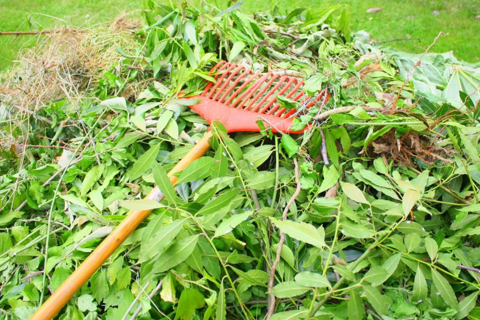 déchets verts