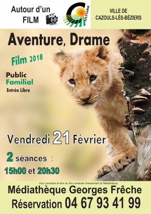 Projection cinéma - Familial