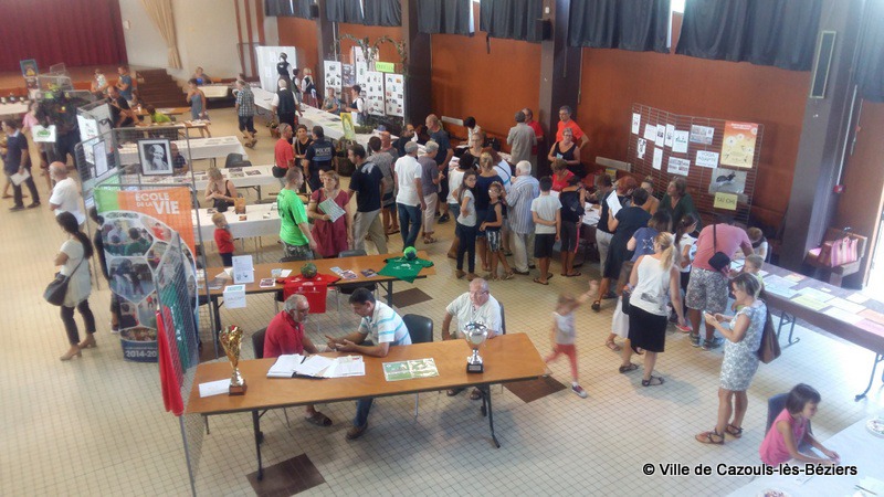 Forum des associations 2016